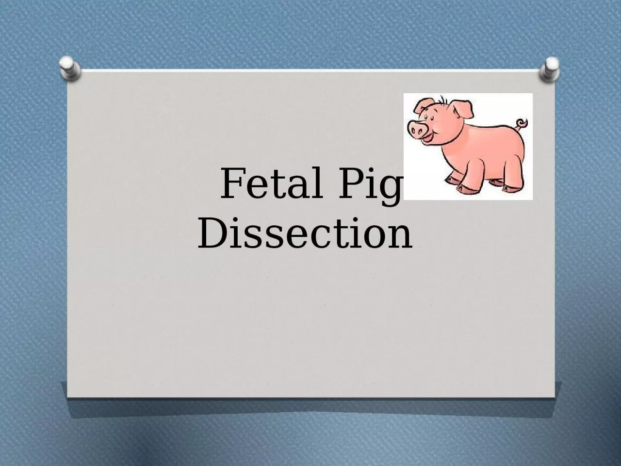 PPT-Fetal Pig Dissection What do you think humans have in common with the pig?