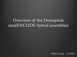 Overview of the  Drosophila modENCODE hybrid assemblies