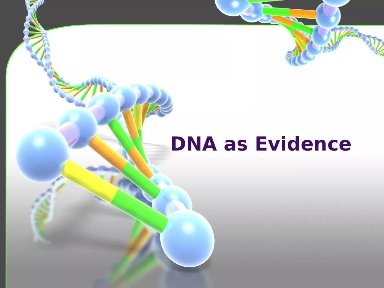 PPT-DNA as Evidence DNA: What is it?