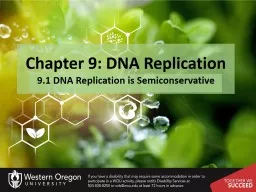 Chapter 9: DNA Replication