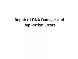 Repair of DNA Damage and Replication Errors