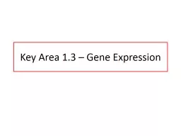 Key Area 1.3 – Gene Expression