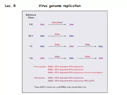 Lec . 8               Virus genome replication