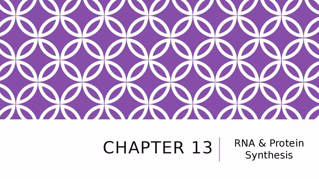 Chapter 13 RNA & Protein Synthesis