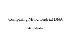 Comparing Mitochondrial DNA