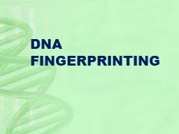 DNA FINGERPRINTING INTRODUCTION