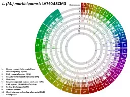 L. (M.) martiniquensis  LV760;LSCM1