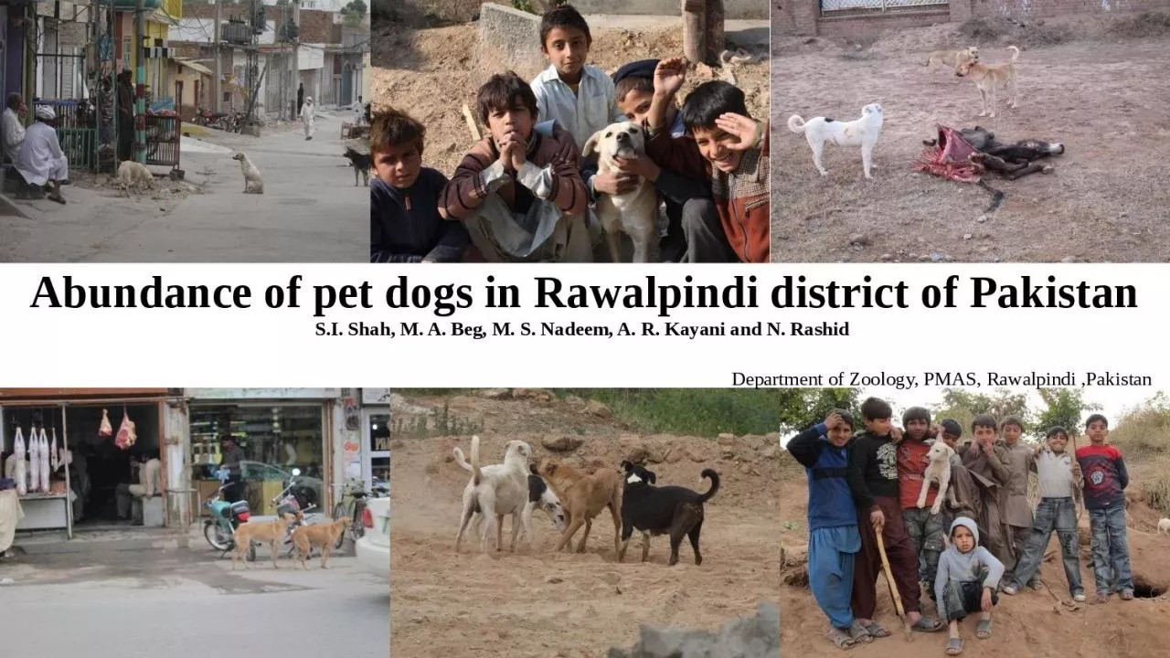 PPT-1 Abundance of pet dogs in Rawalpindi district of Pakistan