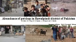 1 Abundance of pet dogs in Rawalpindi district of Pakistan