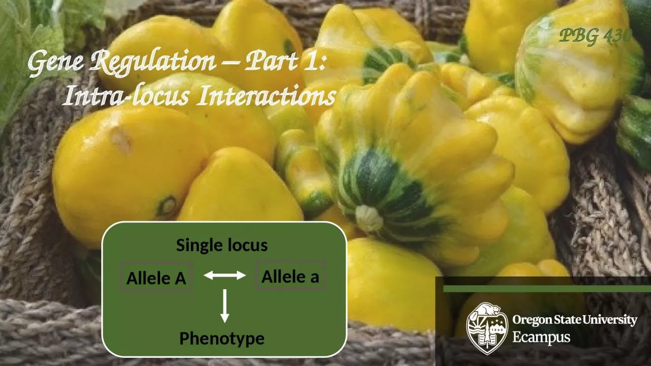 PPT-Gene Regulation – Part 1: