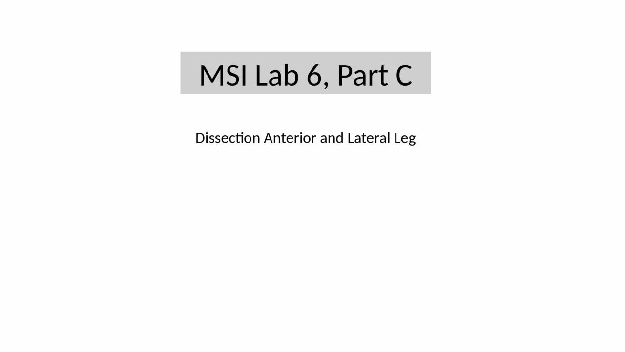 PPT-MSI Lab 6, Part C Dissection Anterior and Lateral Leg