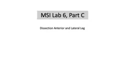 MSI Lab 6, Part C Dissection Anterior and Lateral Leg