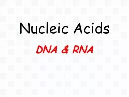 Nucleic Acids DNA & RNA