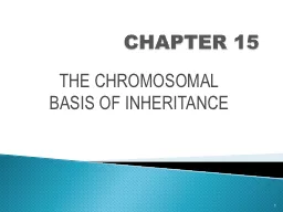 CHAPTER 15 THE CHROMOSOMAL BASIS OF INHERITANCE