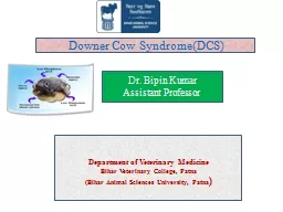 Downer Cow Syndrome(DCS)