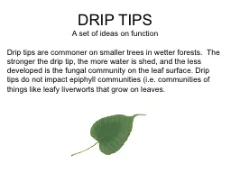 DRIP TIPS A set of ideas on function