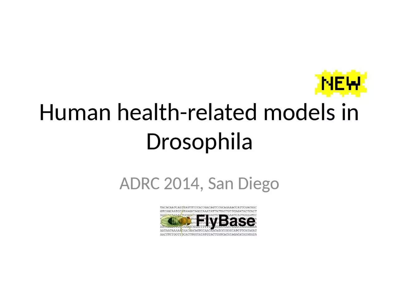 PPT-Human health -related models in Drosophila