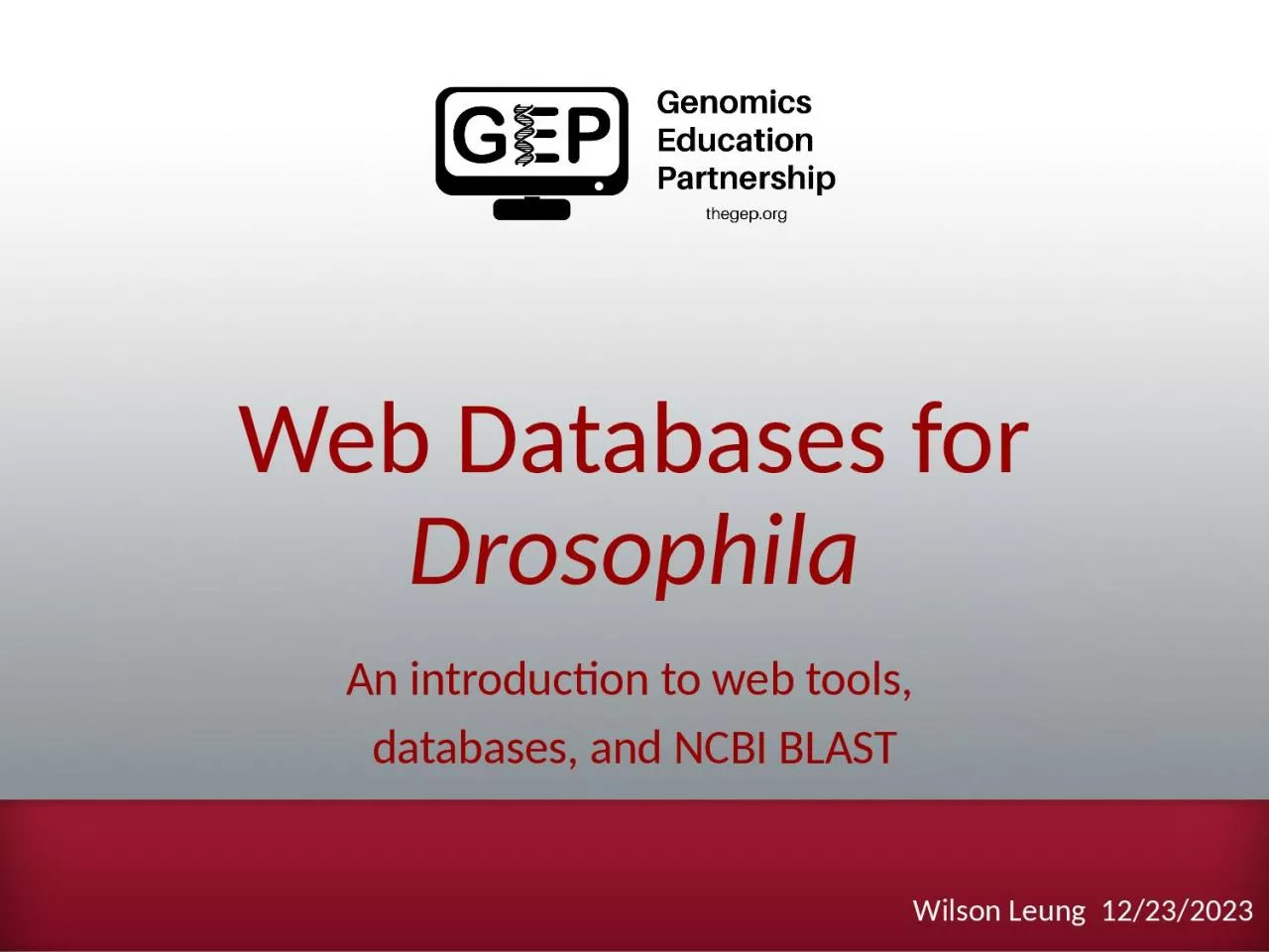 PPT-Web Databases for Drosophila