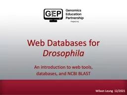 Web Databases for  Drosophila