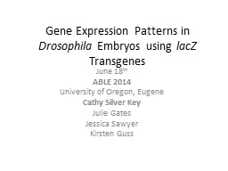 Gene Expression Patterns in