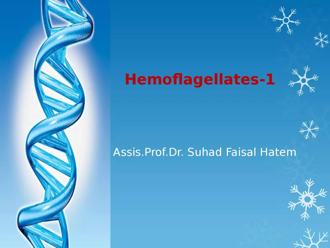 PPT-Hemoflagellates-1 Assis.Prof.Dr