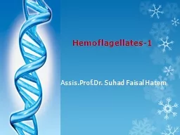 Hemoflagellates-1 Assis.Prof.Dr