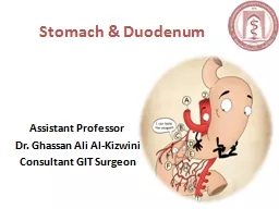 Stomach & Duodenum Assistant Professor