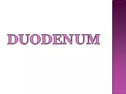 duodenum introduction Length-20-25cm