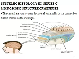 SYSTEMIC HISTOLOGY III. SERIES C