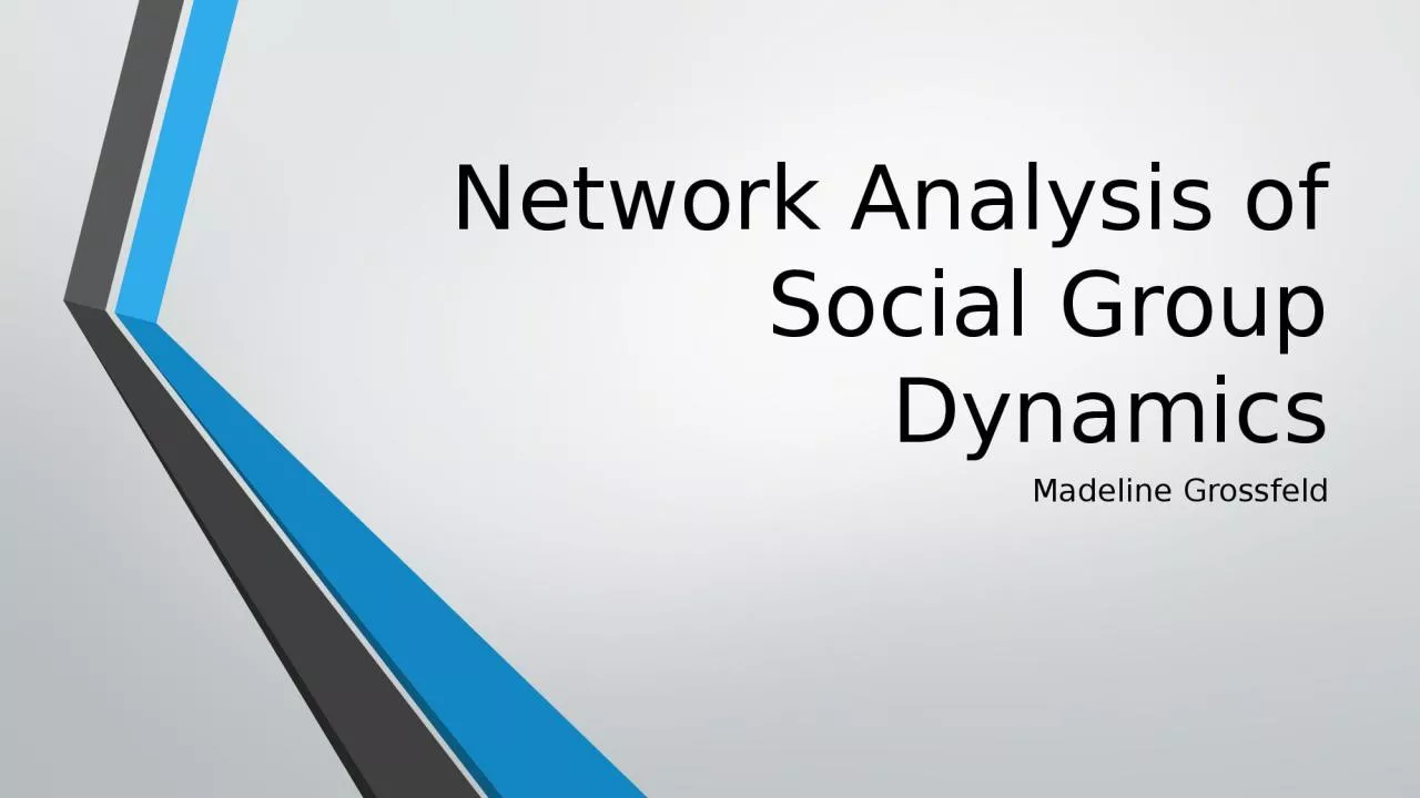 Network Analysis of Social Group Dynamics