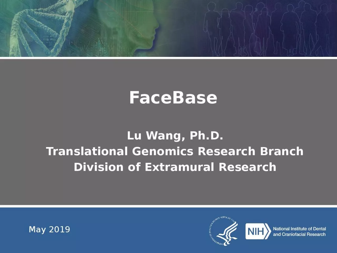 PPT-FaceBase Lu Wang, Ph.D. Translational Genomics Research Branch