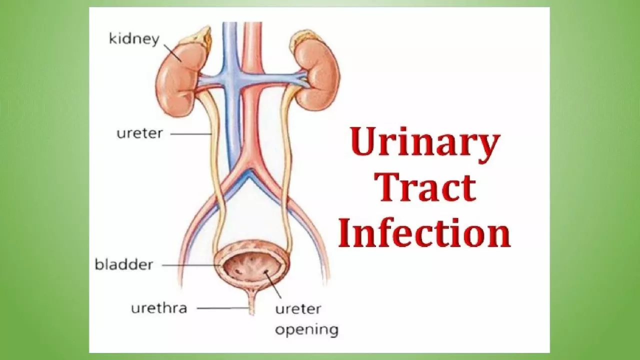 Definition: The term urinary tract infection (UTI) usually refers to