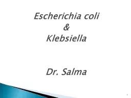 1 Escherichia  coli &