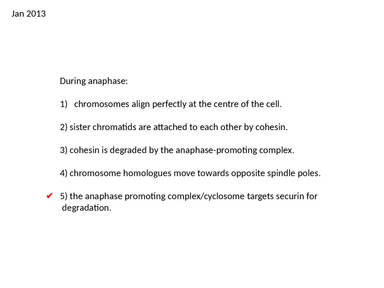 PPT-During anaphase : chromosomes