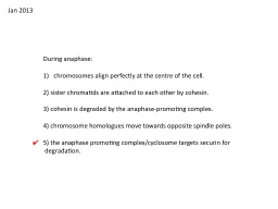 During anaphase : chromosomes