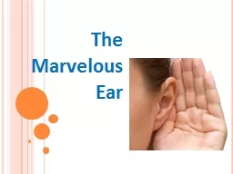 The Marvelous Ear How Do Our Ears Work? Quiz