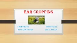 EAR CROPPING