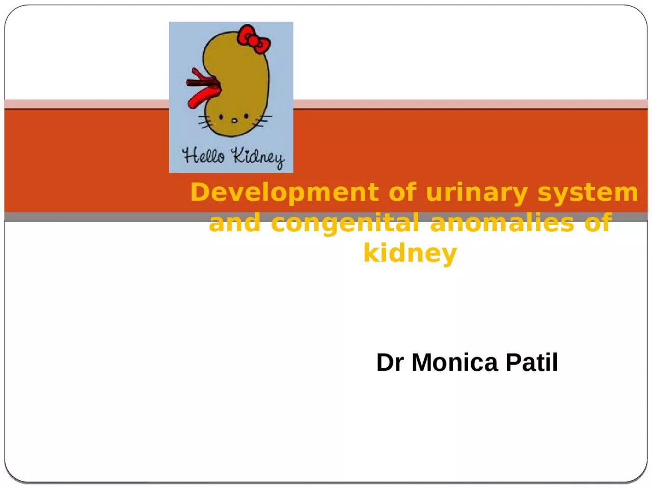 Development of urinary system and congenital anomalies of kidney