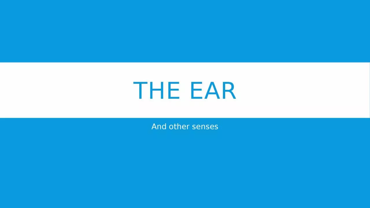 PPT-The ear And other senses