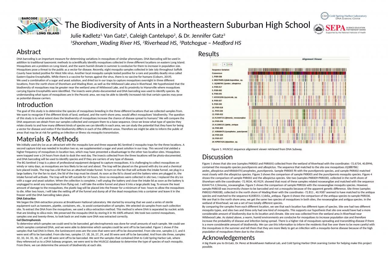 The Biodiversity of Ants in a Northeastern Suburban High School