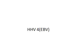 HHV 4(EBV) Epstein-Barr Virus