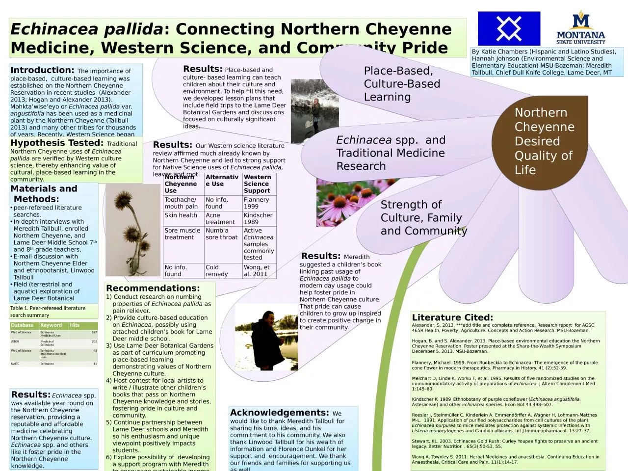 PPT-Echinacea pallida : Connecting Northern Cheyenne Medicine, Western Science, and Community