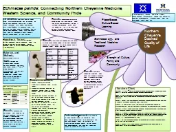 Echinacea pallida : Connecting Northern Cheyenne Medicine, Western Science, and Community