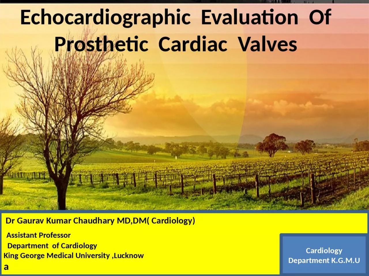 PPT-Thanks ………… Echocardiographic