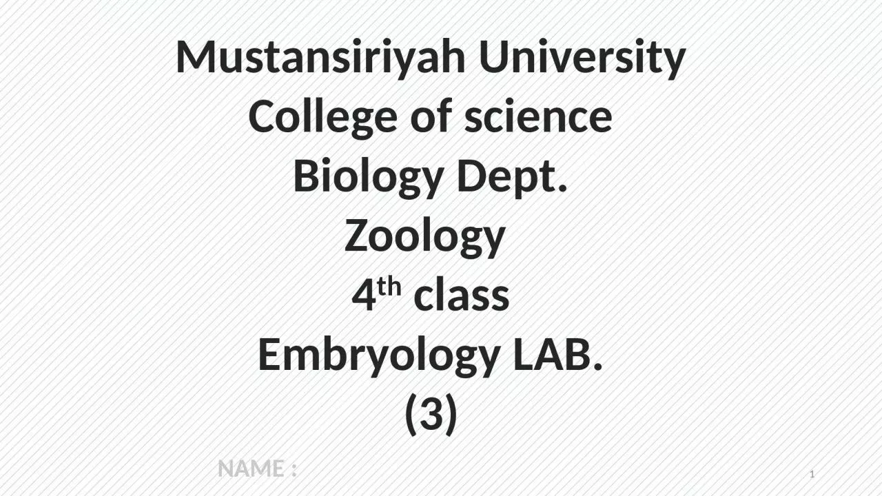 PPT-1 Mustansiriyah University