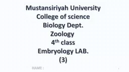 1 Mustansiriyah  University