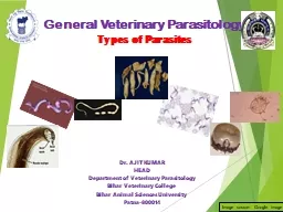 Dr. AJIT KUMAR HEAD Department of Veterinary Parasitology
