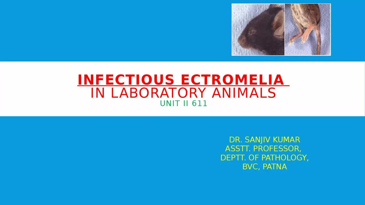 PPT-INFECTIOUS ECTROMELIA IN LABORATORY ANIMALS