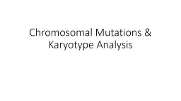 Chromosomal Mutations & Karyotype Analysis