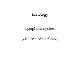 Histology  Lymphoid system